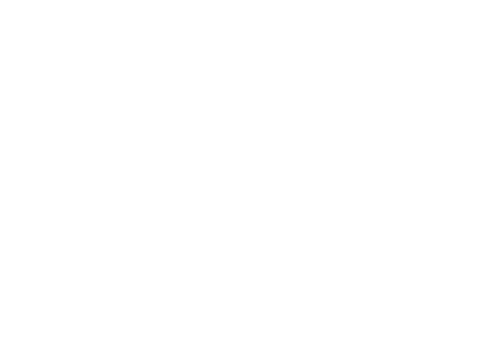 97DNS